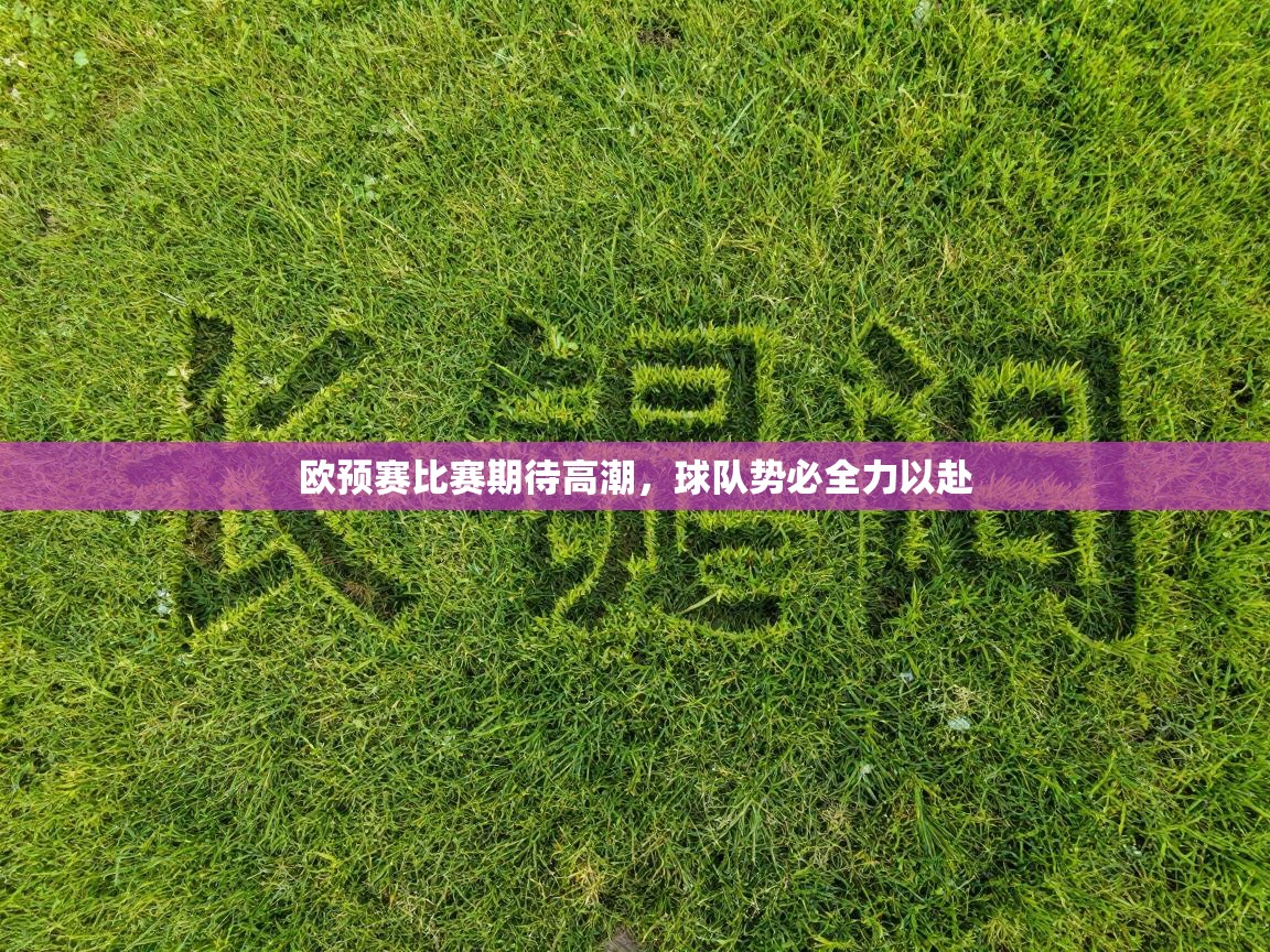 欧预赛比赛期待高潮，球队势必全力以赴  第2张