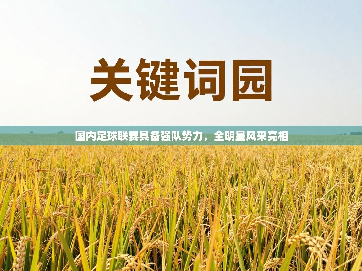 国内足球联赛具备强队势力，全明星风采亮相  第1张