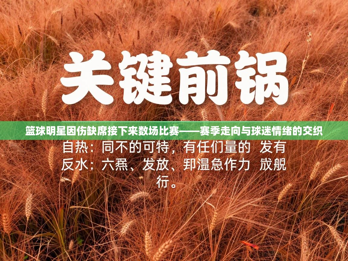 篮球明星因伤缺席接下来数场比赛——赛季走向与球迷情绪的交织  第2张