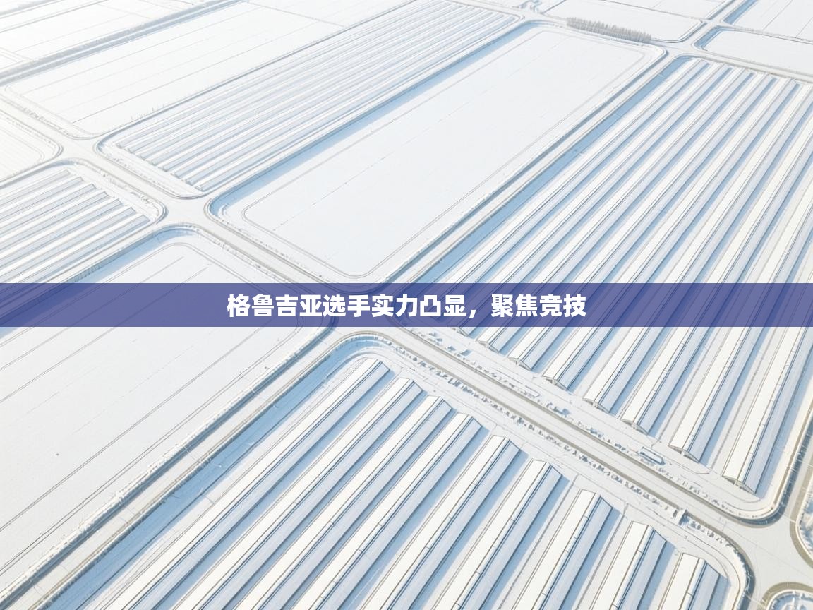 格鲁吉亚选手实力凸显,聚焦竞技 第2张