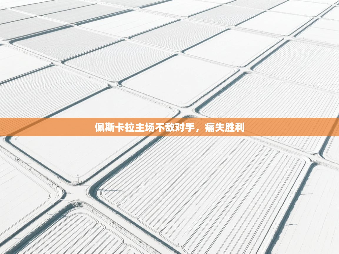 佩斯卡拉主场不敌对手,痛失胜利 第2张