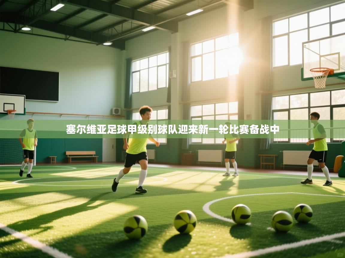 塞尔维亚足球甲级别球队迎来新一轮比赛备战中  第1张