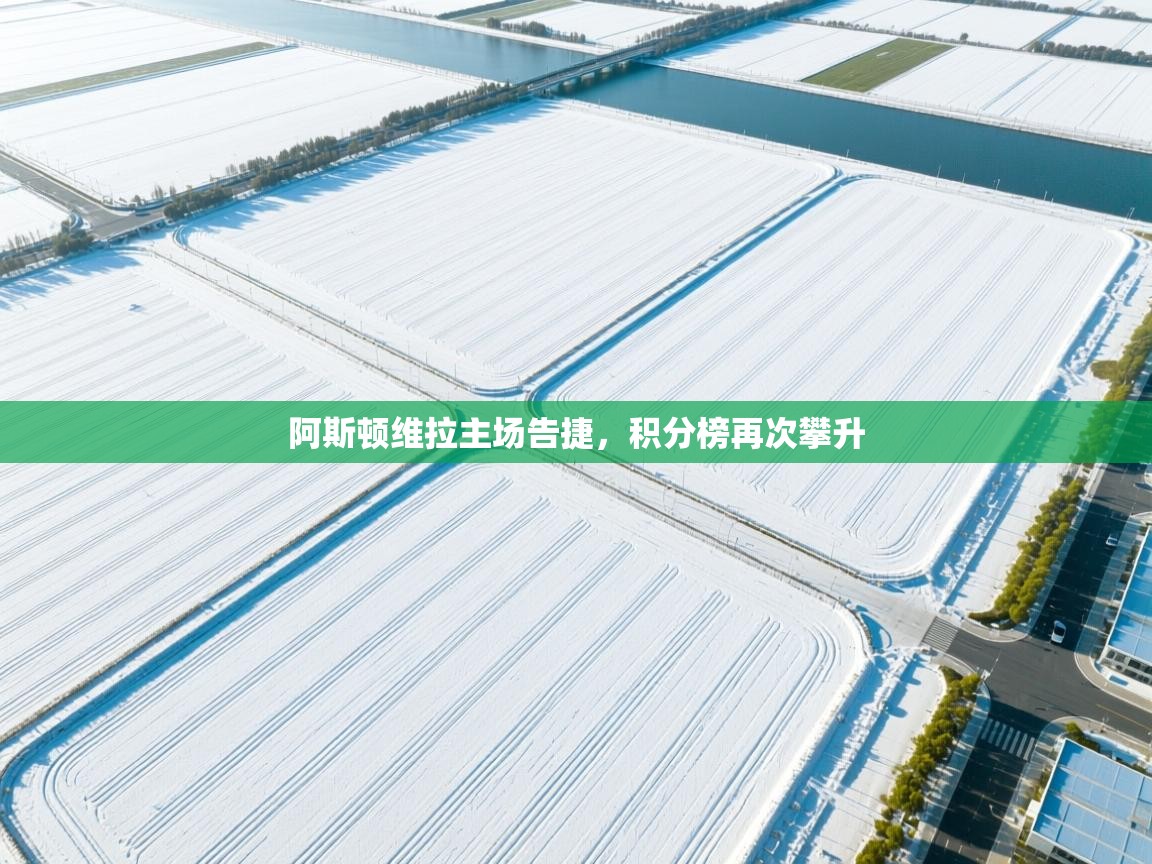 阿斯顿维拉主场告捷，积分榜再次攀升  第1张