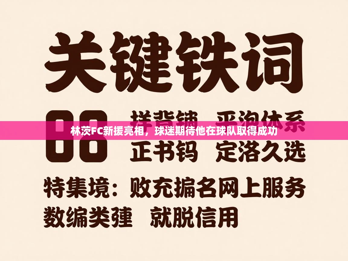 林茨FC新援亮相，球迷期待他在球队取得成功  第1张